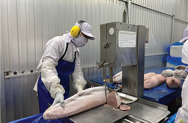 Preserving Quality from Sea to Table: International Standard Fish Cutting Process